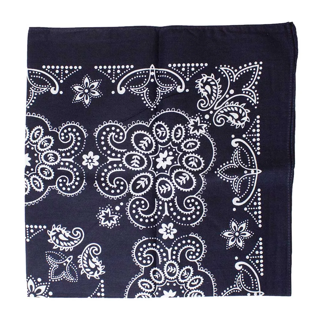 Austin Accent Paisley Print Bandana