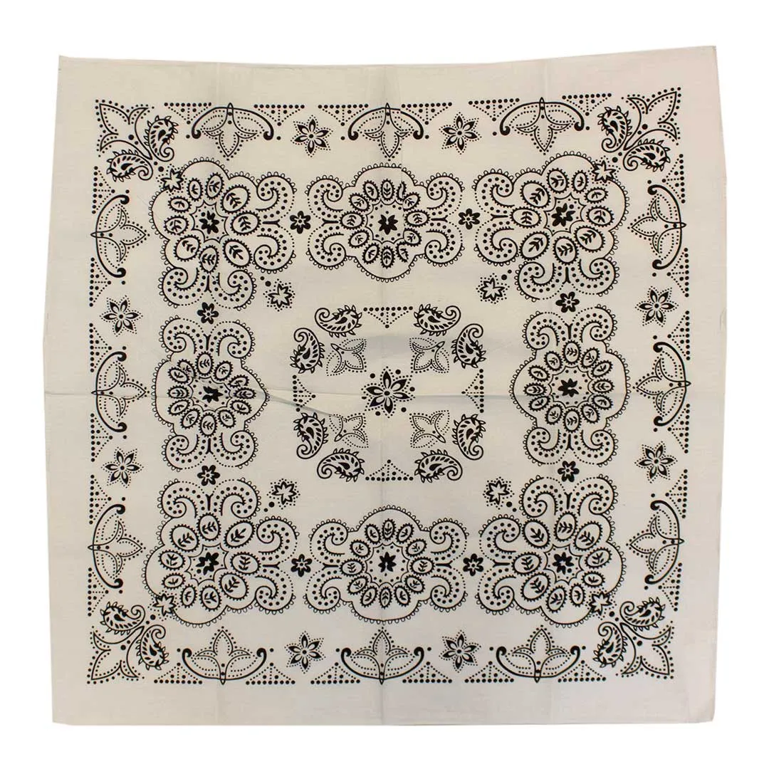 Austin Accent Paisley Print Bandana