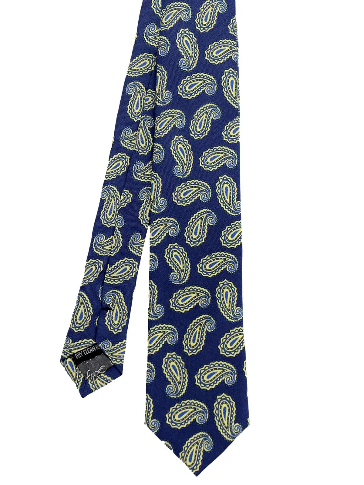 Blue Paisley Print Pure Silk Skinny Tie