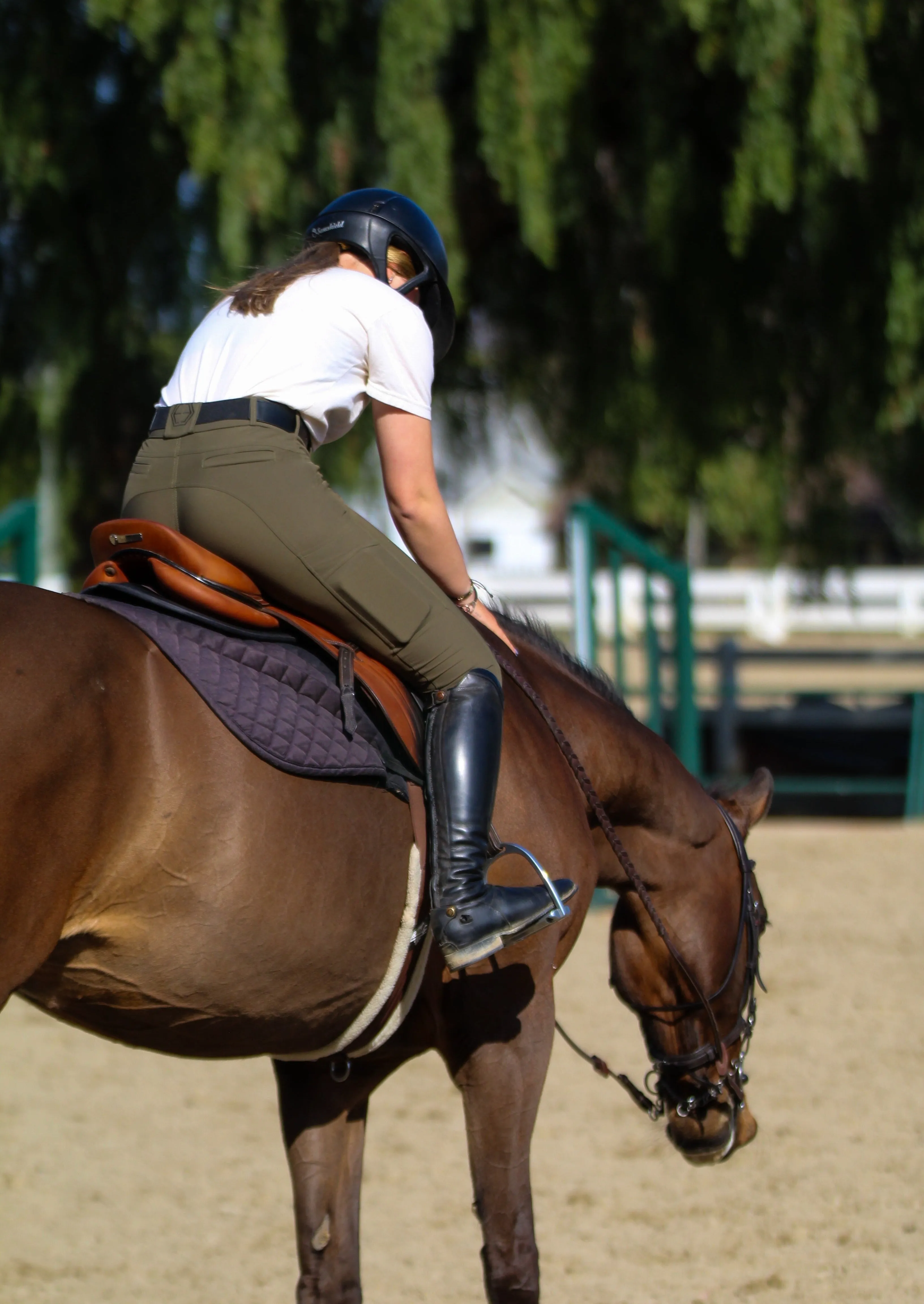 The Wren Knee Patch Breech in Olive Green